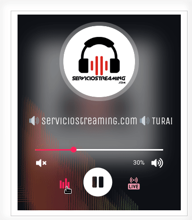 Reproductor 1